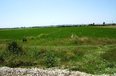Durres For Sale Land  Is located in the 7-km of the highway Tirana-Durres. Industrial Land industri